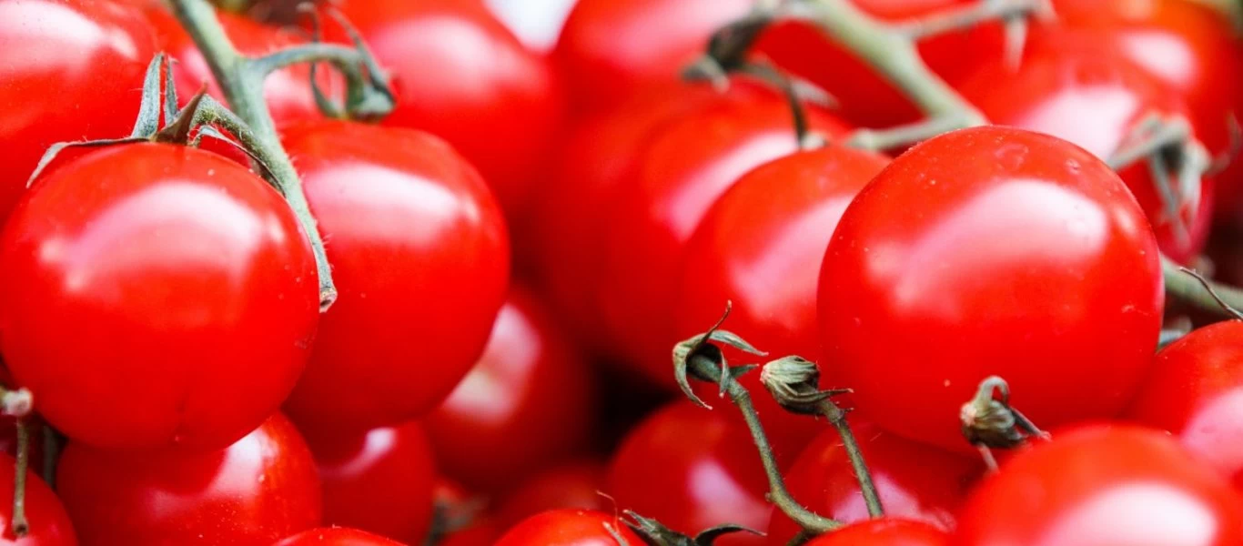 Ντομάτα: Πότε είναι απαραίτητη για τον οργανισμό σου και πότε θεωρείται επικίνδυνη;